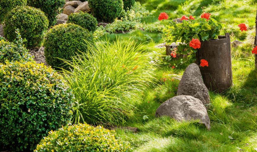 Landscaping & Tree Services