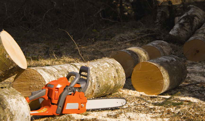 Landscaping & Tree Services